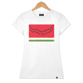 Simplistic watermelon