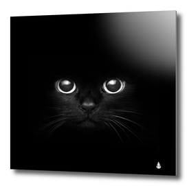 Black Cat Face