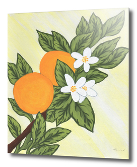 Oranges and Blossoms