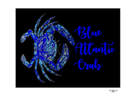 Blue Atlantic Crab