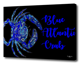 Blue Atlantic Crab