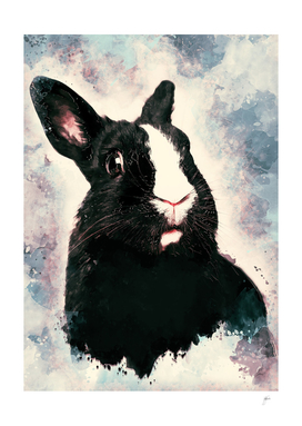 Rabbit Bunny art #rabbit #bunny #animals