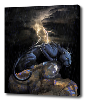 Panther Rain
