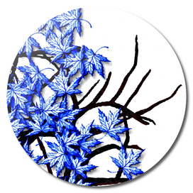 Maple Leaves Blue