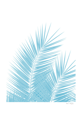 Soft Blue Palm Leaves Dream - Cali Summer Vibes #1