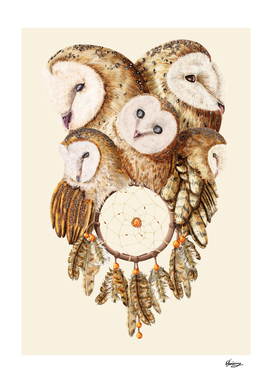 Dreamcatcher Owls