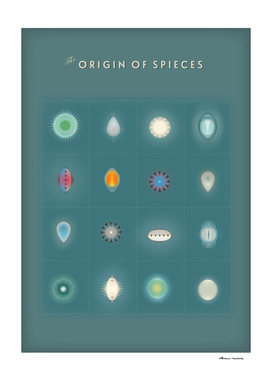 the origin of species