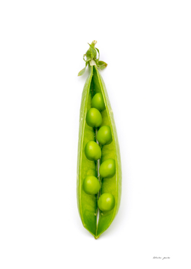 Green pea pod on a white background