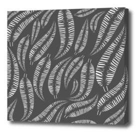 Abstract white bird feathers on a gray background or palm