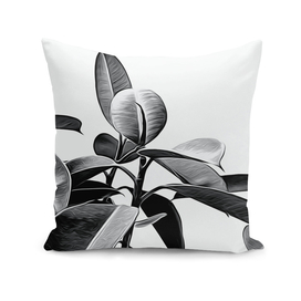 Black and White Leaves