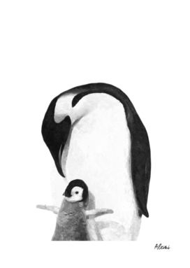 Black and White Penguins