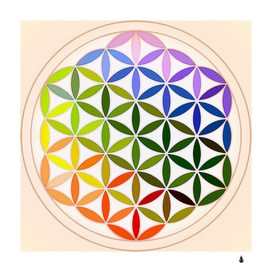 Mandala rainbow colorful