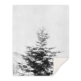 Snow-covered fir tree