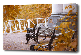 Bench in Autumn Park