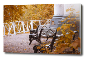 Bench in Autumn Park