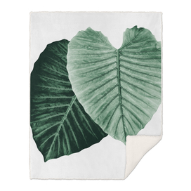 Love Leaves Evergreen - Him & Her #2 #decor #art