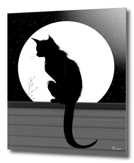 Black cat and Moon