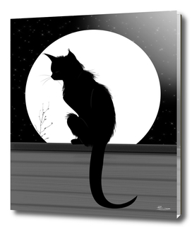 Black cat and Moon