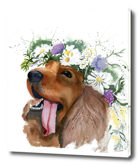 dog with flower