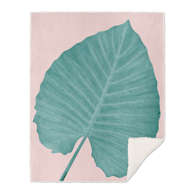 Love Leaves Evergreen Blush - Him #3 #decor #art