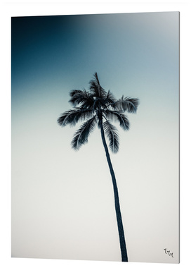 palm tree ver.darkgreen