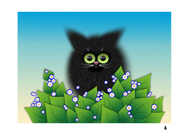 kitten black furry illustration