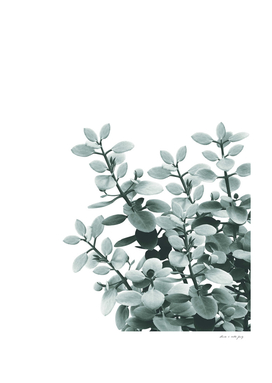 Eucalyptus Leaves Green Vibes #1 #foliage #decor #art