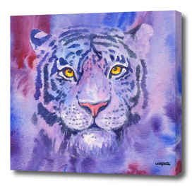 Purple tiger