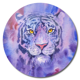 Purple tiger