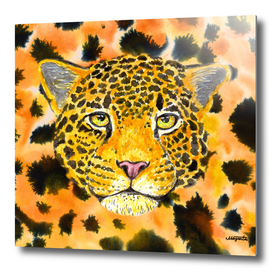 Orange Leopard