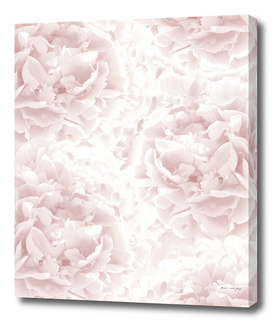 Blush Rose Peonies Dream #1 #floral #decor #art