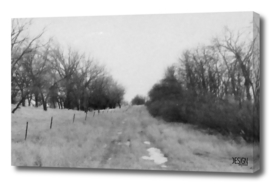 Road to Nowhere - Film Photograph