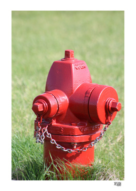 Red Fire Hydrant - Digital Photograph