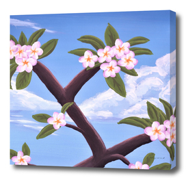 Plumeria Tree