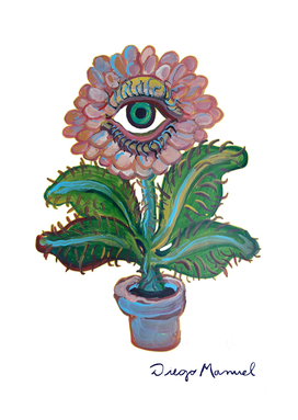 Eye flower