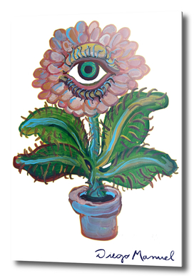 Eye flower