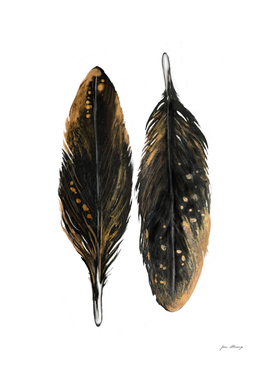 Black and Golden Feathers