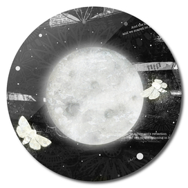 moths on the moon