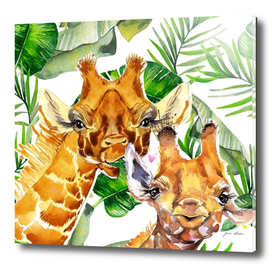 Custom Giraffes With Jungle Background