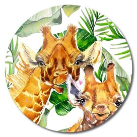 Custom Giraffes With Jungle Background