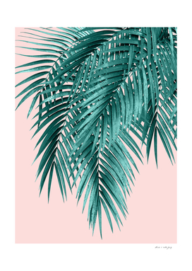 Palm Leaves Blush Vibes #1 #tropical #decor #art