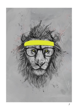 Hipster lion
