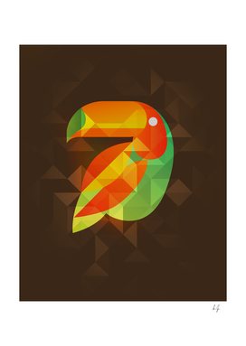 Birds - Tucano