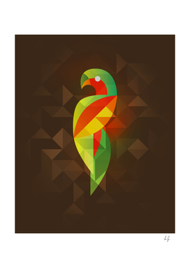 Birds - Papagaio