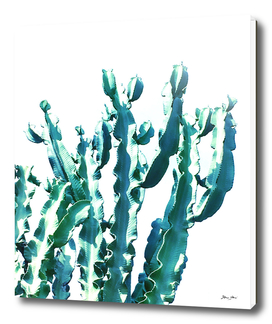 Fabulous Cactus Frills