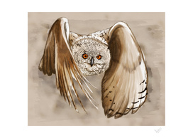 Eurasian Eagle Owl