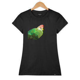 RED CRESTED TURACO LOW POLY ART