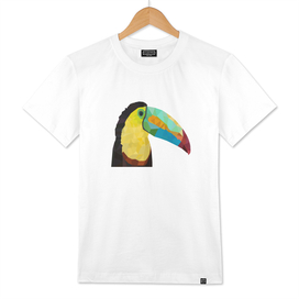 Toucan Bird LOW POLY ART