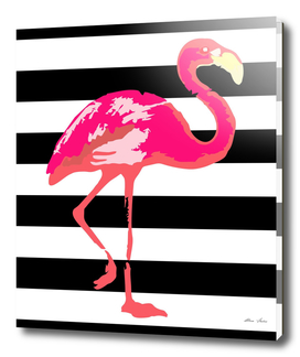 Flamingo, tropical summer poster, black and white stripes