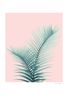 Intertwined - Palm Leaves in Love #2 #tropical #decor #art
